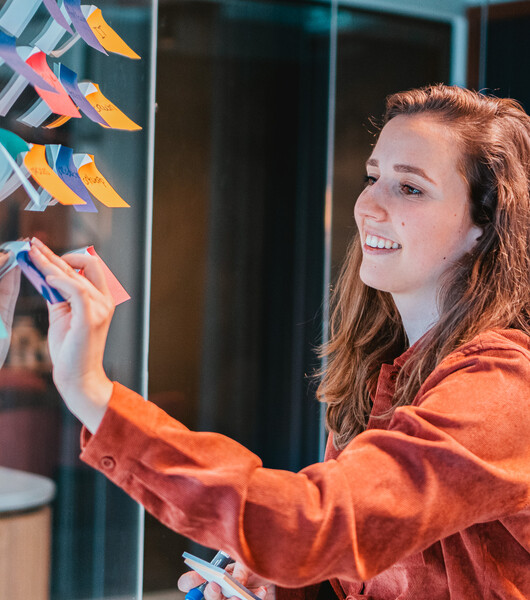 Van het menselijk brein naar een computerbrein