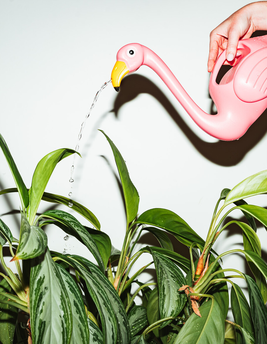Hoe groeit talent mee met mijn organisatie?
